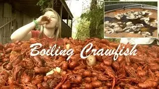 How to Boil and Eat Louisiana Crawfish