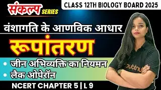 जीन अभिव्यक्ति का नियमन | लैक ओपेरॉन | 12th Biology Hindi Medium Chapter 5 वंशागति के आणविक आधार