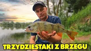 DOBRY PATENT na OKONIE dla KAŻDEGO