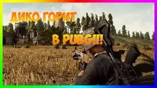 ДИКО БОМБИТ ПУКАН В PUBG - УГАР!!!