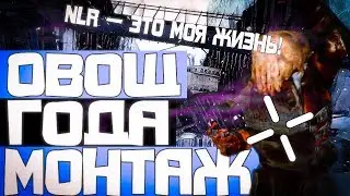 ОВОЩ ГОДА МОНТАЖ HL2RP За Фрименом Белая Роща urf.im Gmod