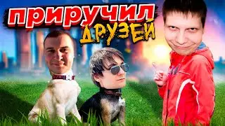 ПРИРУЧИЛ ДРУЗЕЙ | (Quantum Games, MeDallisT ​) ЗА КАДРОМ №84 | CS2 | Hand Simulator | Majestic RP