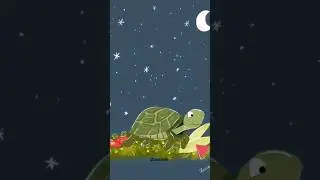 Timelapse - Tortue sur Procreate