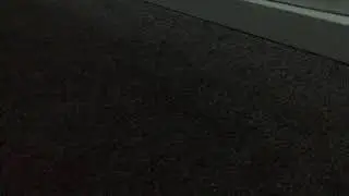 .........