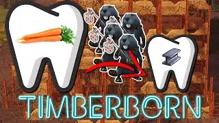 NOWA KOLONIA | Timberborn #4