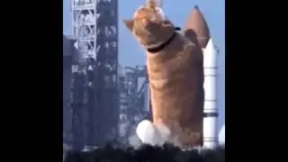 DOGE TO THE SPACE :v #space #spacex #sfs #meme #short