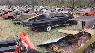 Springtime in the Mopar Salvage yard!