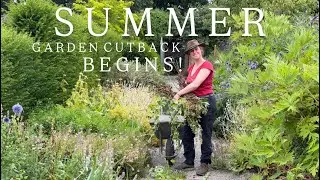 What I Cut Back in July (and Why It Matters)