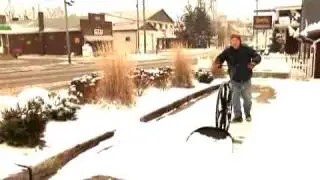 Snow Wolf Demonstration
