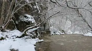 Cheile Vârghișului, iarna.