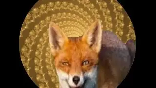 Fox Transformation Hypnosis Version 2