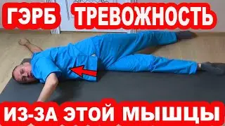 This muscle causes GERD and increased ANXIETY. How to cure Reflux, Esophagitis, Heartburn, GASTRITIS