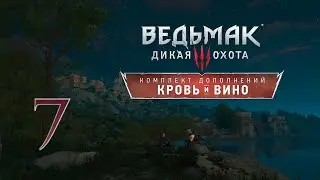 Прохождение The Witcher 3: Wild Hunt  — DLC «Кровь и вино».Часть 7 (сложность 