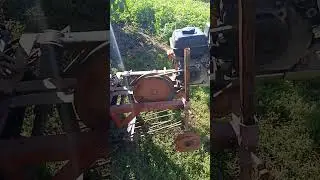 кортофелекопалка
