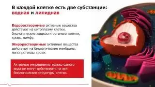О CardioDrive - врач-кардиолог Лилия Швейцер + Результат