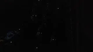 Alligator Eyes at Night