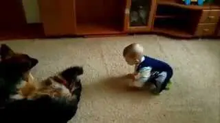 Малыш и овчарка. Сhild and sheep-dog