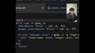 Kaggle Data Analysis With Bash