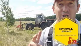 Огромные затраты на расчистку полей, трактор Т-150к выдергивает деревья, МТЗ-82 убирает с поля