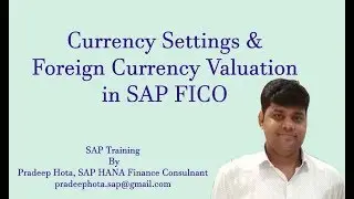 Currency settings in SAP | Foreign Currency Valuation Configuration in SAP FICO