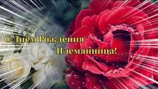 С Днем Рождения Племяннице!