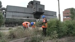 Новотроицкие школьники на время каникул выбирают труд