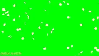 Falling White Rose Petals | HD Animation green screen effect