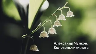 Колокольчики лета. Лёгкий, красивый стих о любви