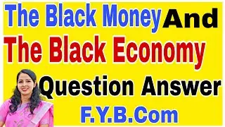 Q/A The Black Money and The Black Economy by C.Rammanohar Reddy With Explanation Success Avenue SPPU