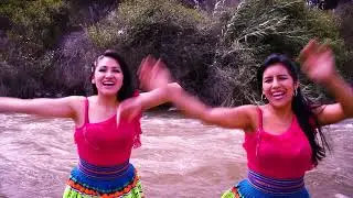 DIO CUENCA - PALOMITA
