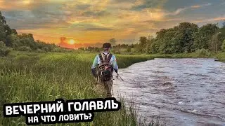 ГОЛАВЛЬ В ИЮНЕ НА СПИННИНГ 🏞️ ЛОВИМ НА СЕКРЕТНЫХ ПЕРЕКАТАХ