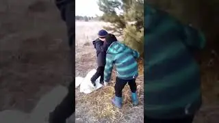 юнные "охотники"с отцом строят скрадок на тетеревинном току.