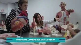 Girne Üniversitesi Tıp Fakültesi