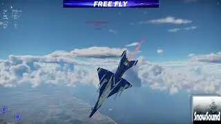 Free Fly