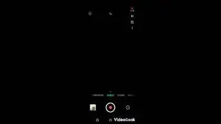 поддержка птиц-1 часть, мистер Семён плей.