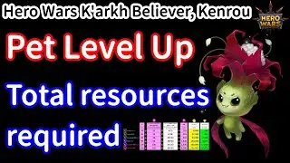 Explanation of the total amount of resources needed to level up a pet to the maximum level. Khorus.