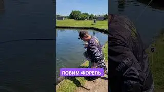 #fishing #youtubeshorts #youtuber #forellenfischen #рыбалка #рекомендации #рек #форель