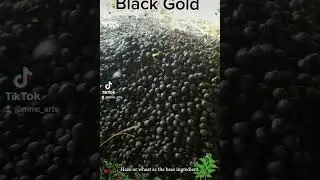 Rabbits and The Myth of Golden Poops