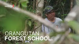 PART 3 - ORANGUTAN FOREST SCHOOL.