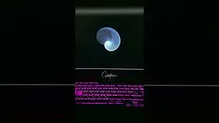 Amazing Graphics Animation Using Python Turtle 😎 | Python Tutorial 