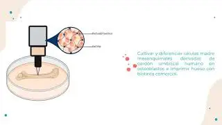 Proyecto Interdisciplinario