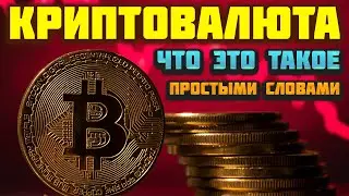 Что такое криптовалюта, Биткоин и Блокчейн простыми словами и как новичку на этом заработать