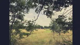 Greenspace Video