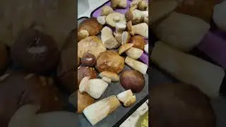 готовим ужин ,варим и сущим грибы 🤗