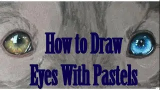 How to Draw Eyes with Pastels: 90 second tutorial