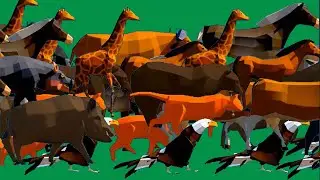 Animals Stampede Walking Green Screen Blue Screen Best HD Animals Cartoon Green Screen Video