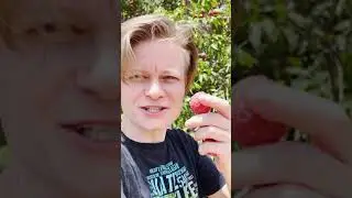 Самый красивый фрукт растет в Китае?!🇨🇳  