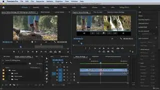 Trim Edit Mod