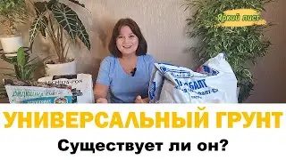 ГРУНТ| ПОЧВА для комнатных цветов. Как составить свой грунт. Состав универсального грунта.