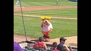 isotopes game 2021 mascot baseball game